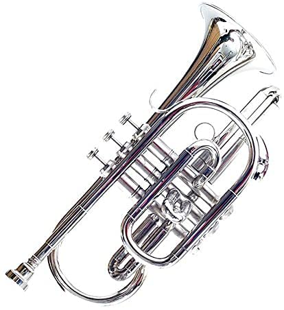 Amazon.com: Cornet B Flat Nickel Plated With M/P & Bag Free